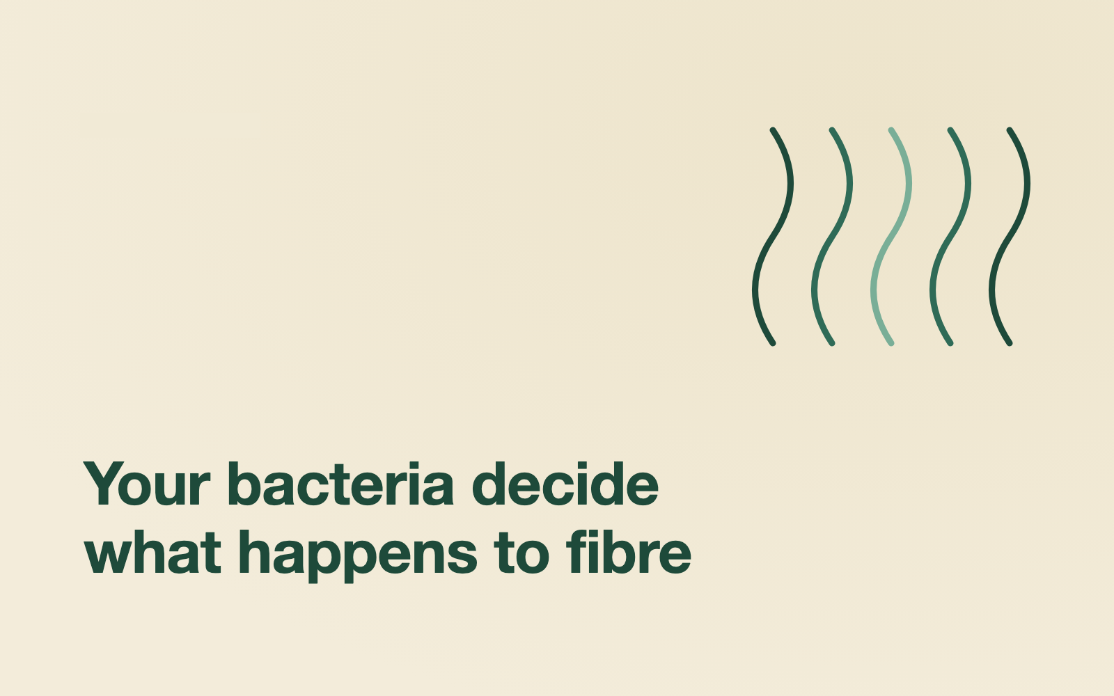 When more fibre makes things worse
