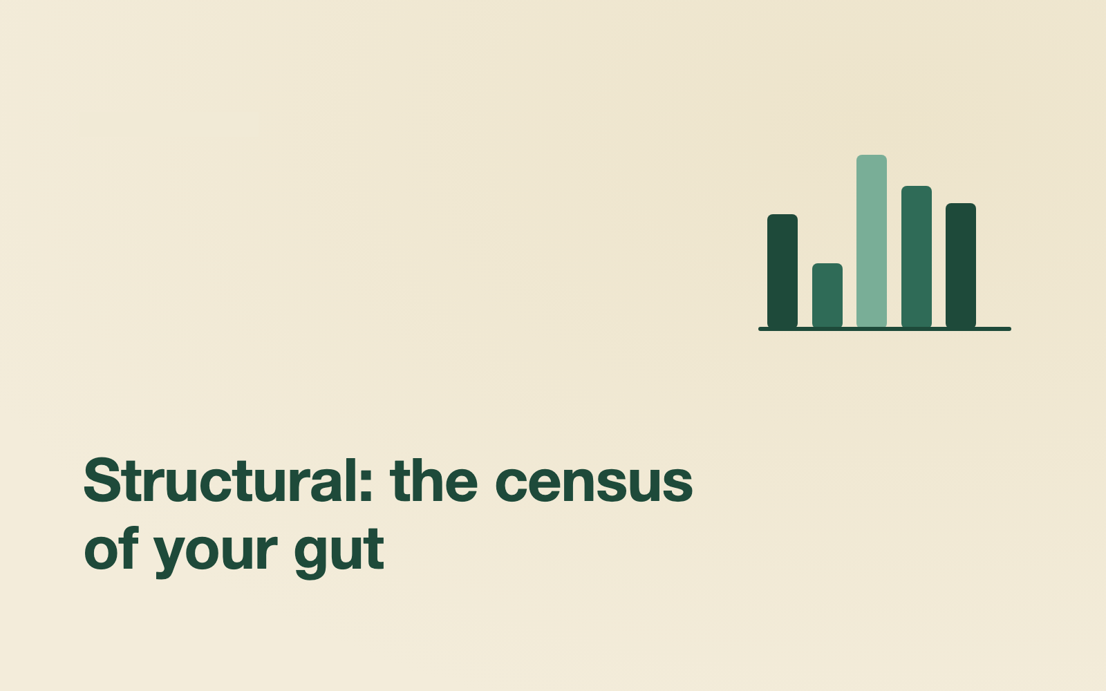 Structural vs. Functional Gut Testing: What's the Difference and Why It Matters