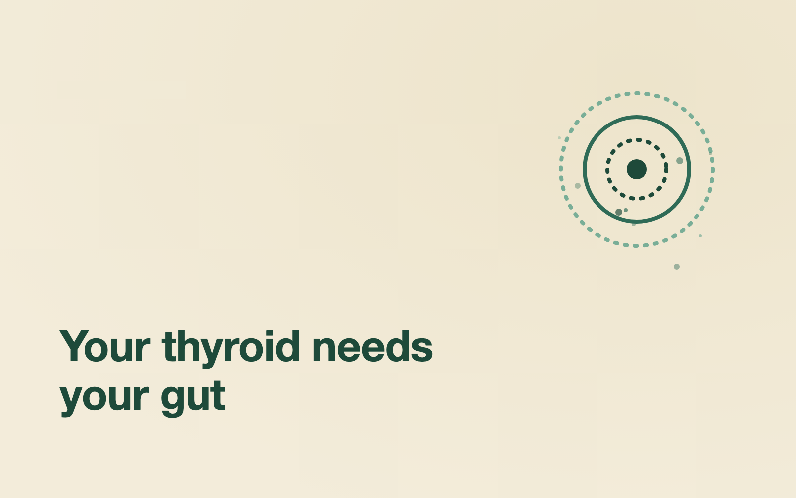 The estrobolome: your gut's role in oestrogen balance