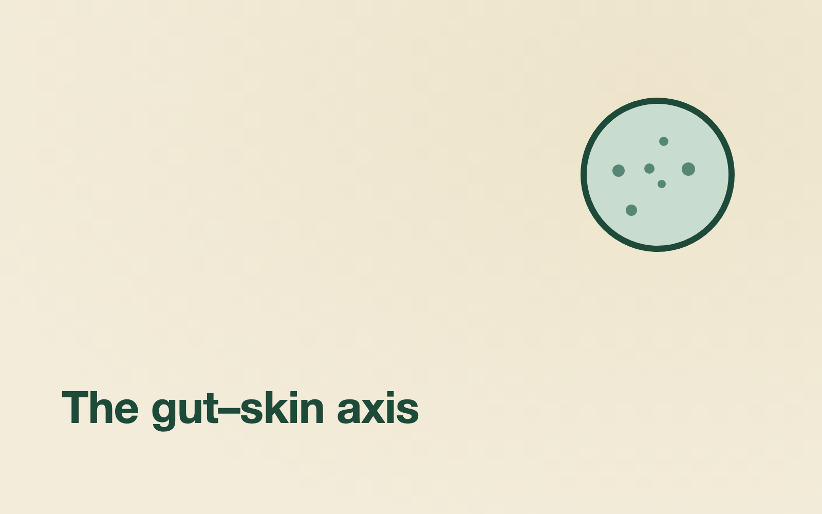 Gut Health and Skin: The Microbiome–Acne–Eczema Connection