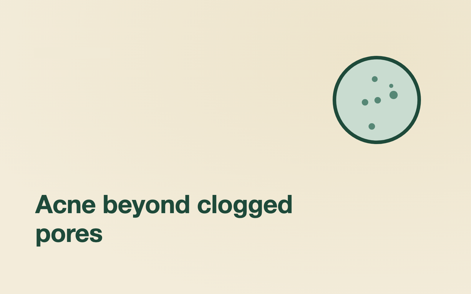 The gut-skin axis: how your intestines affect your face