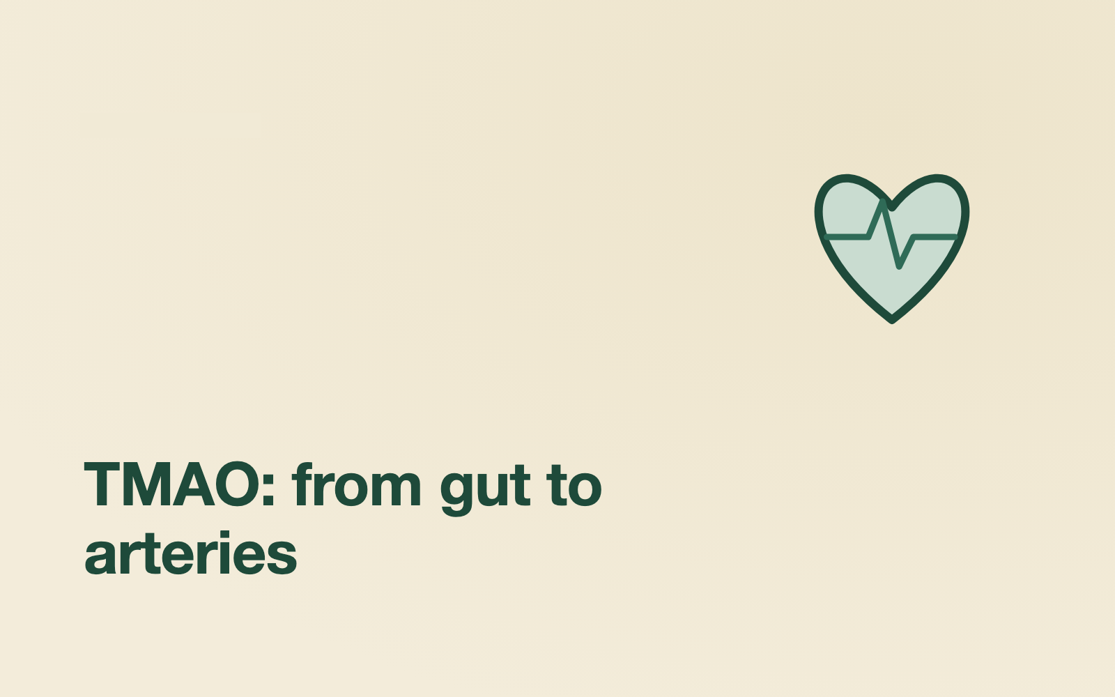 The Gut–Heart Connection: How Microbes Influence Cholesterol and Cardiovascular Risk