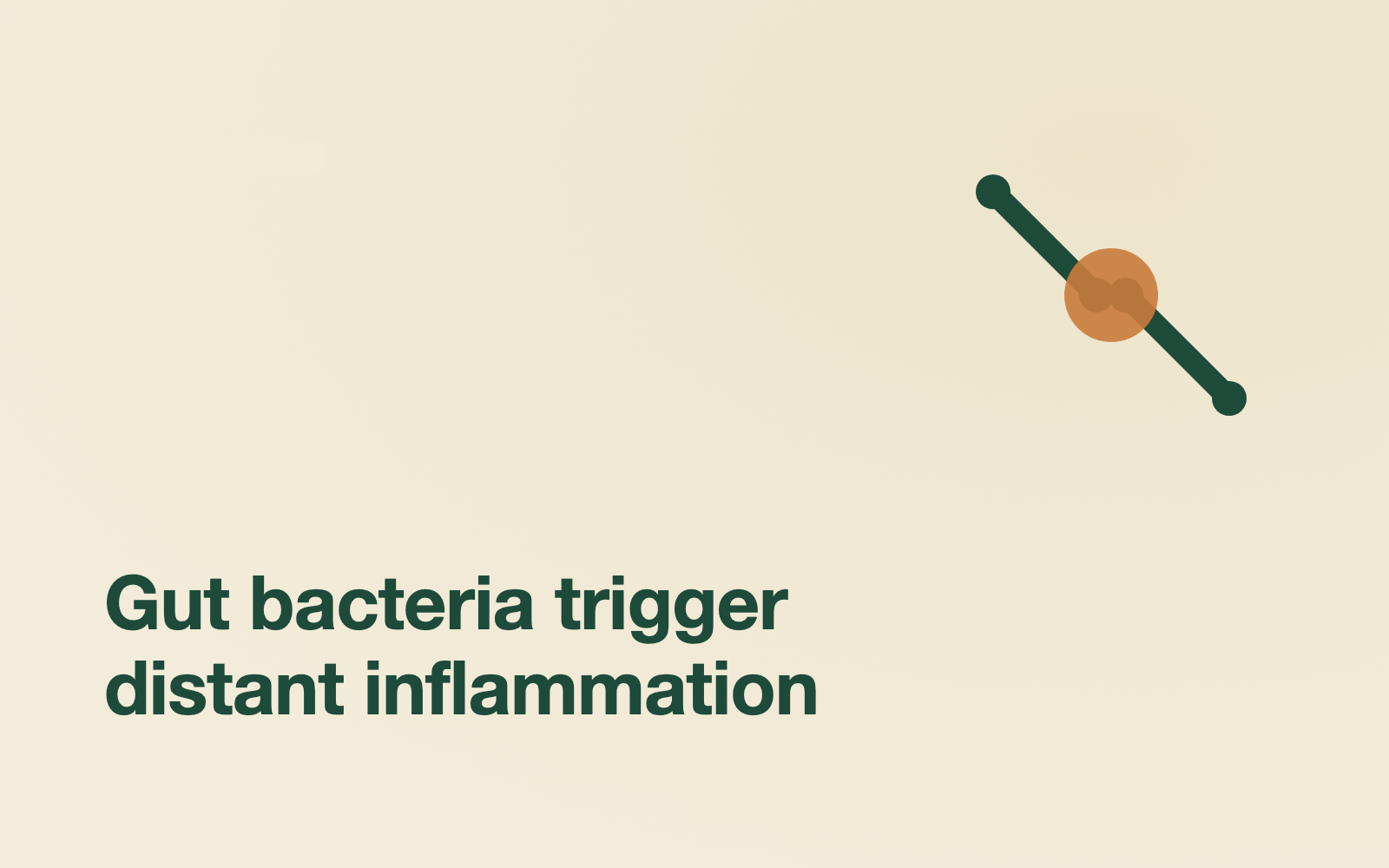 Gut Health and Joint Pain: The Inflammation Connection You're Missing