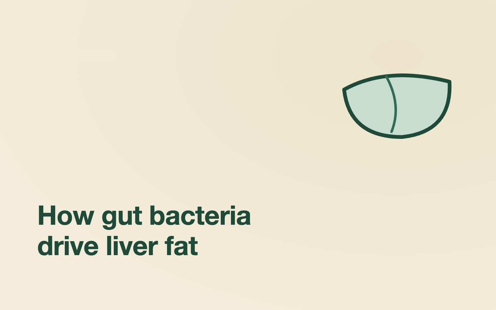 The portal vein: a direct highway from gut to liver