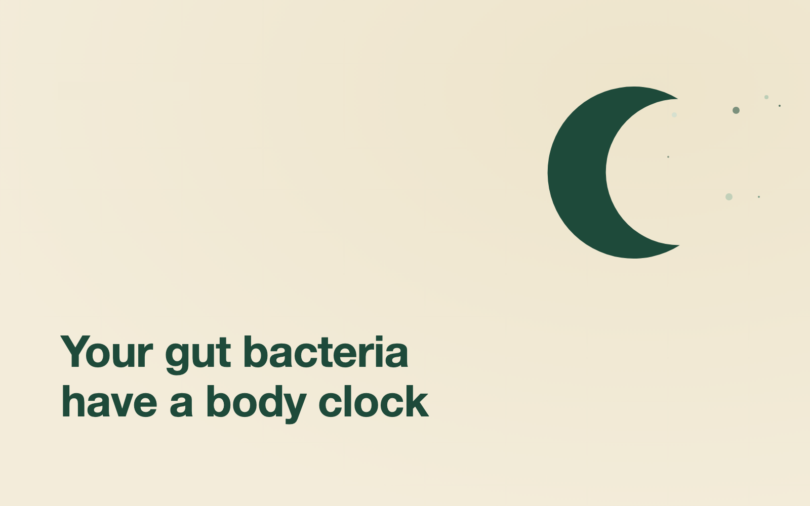 Your Gut and Your Sleep: The Circadian Rhythm–Microbiome Link