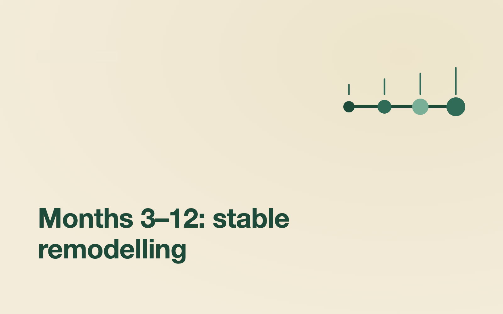 Weeks 4-12: meaningful change