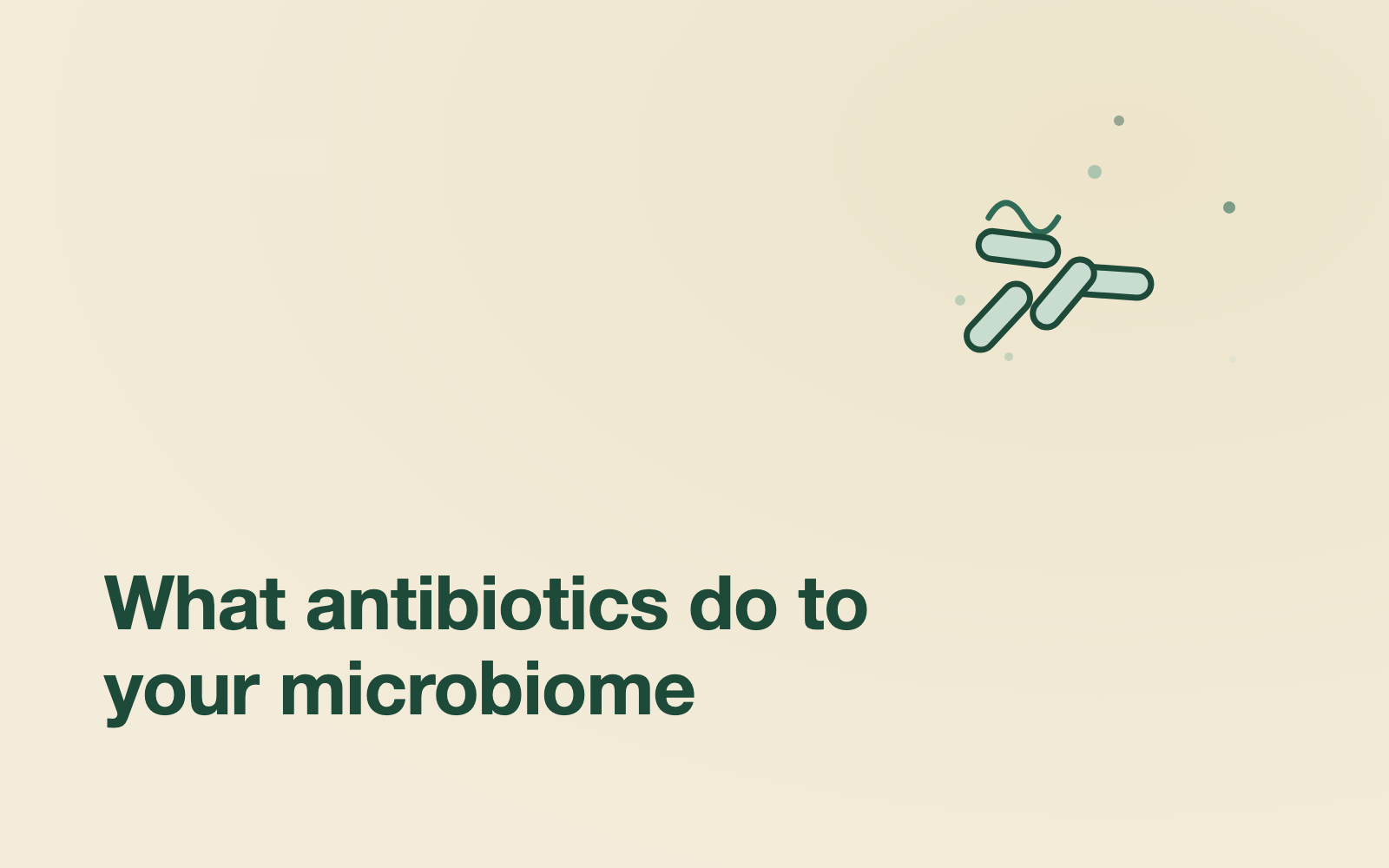 Gut Health After Antibiotics: How to Rebuild What Was Lost