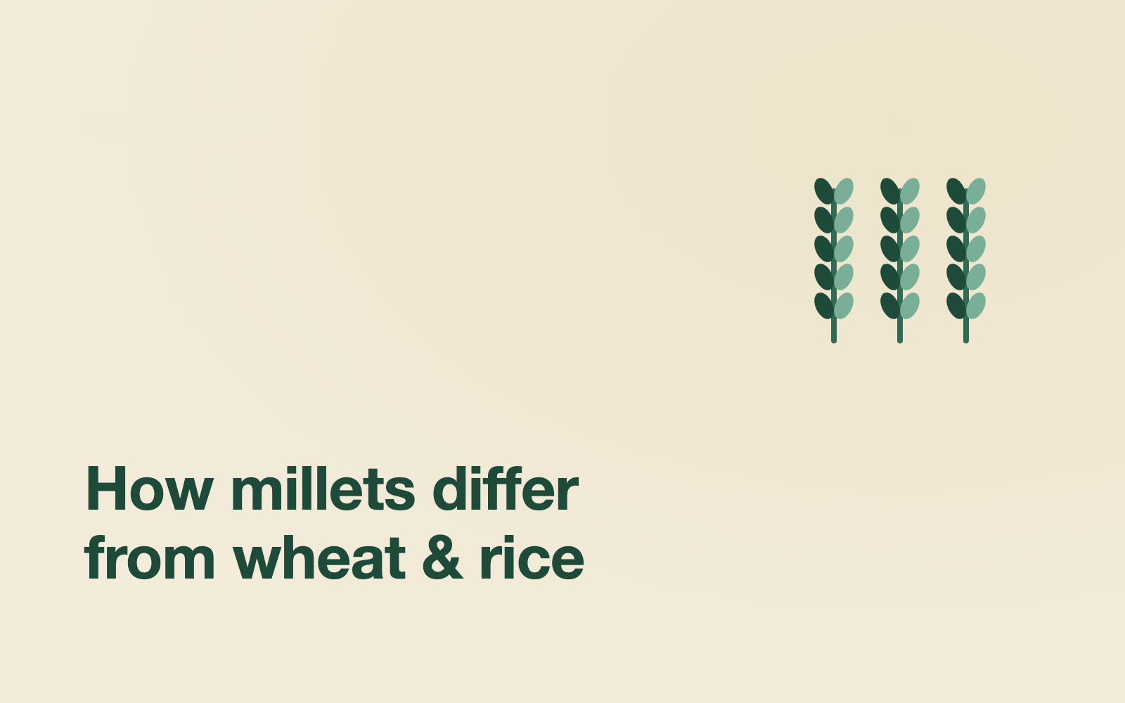 Millets and the Gut: What the Research Actually Shows