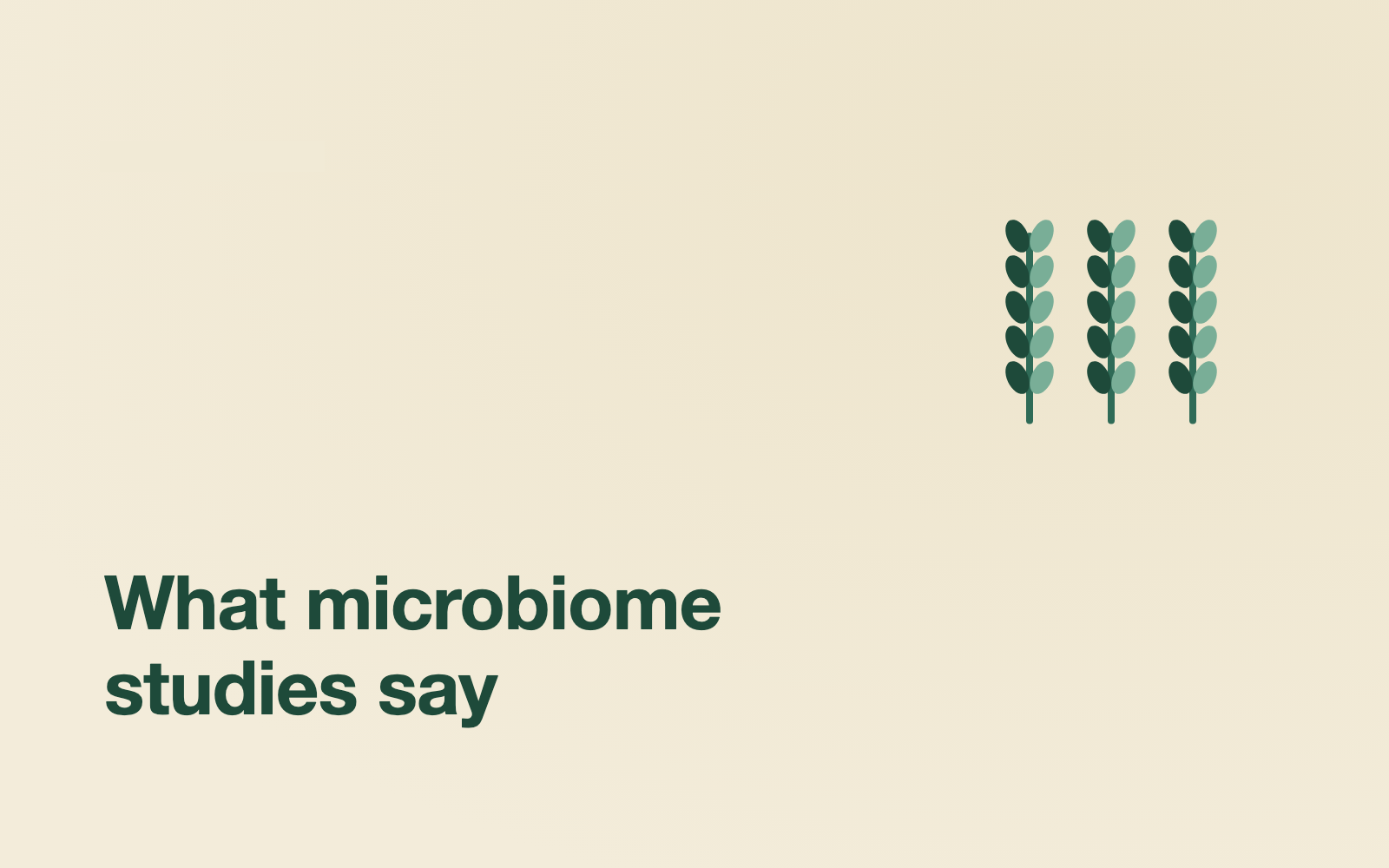 How millets differ from wheat and rice