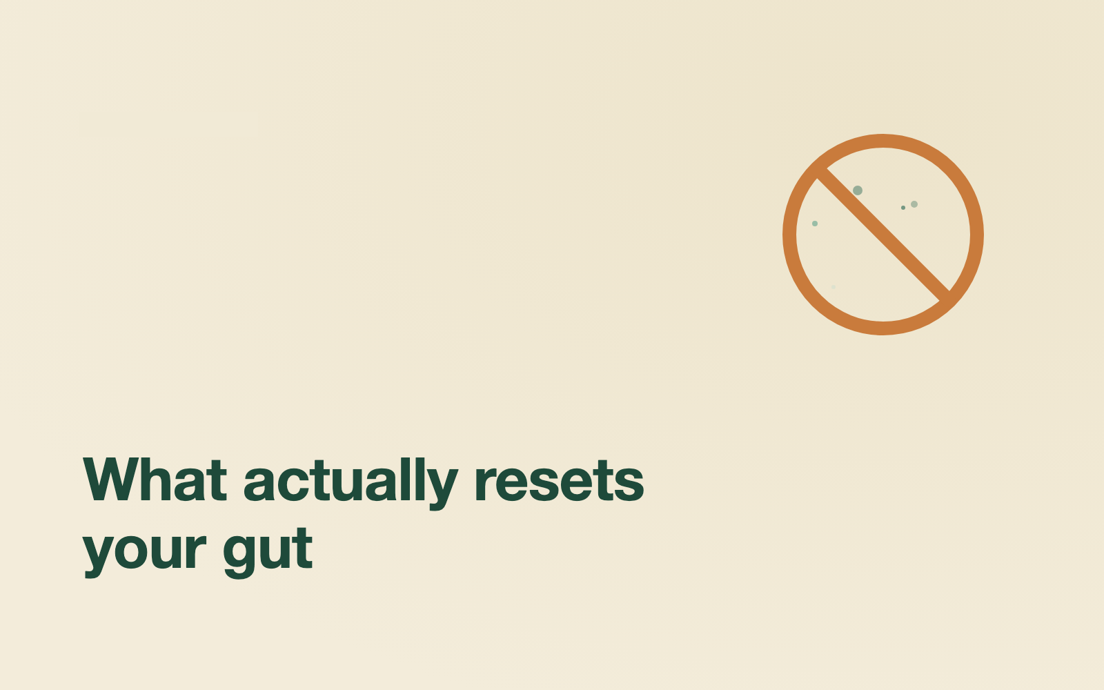 What Actually Helps Your Gut Reset
