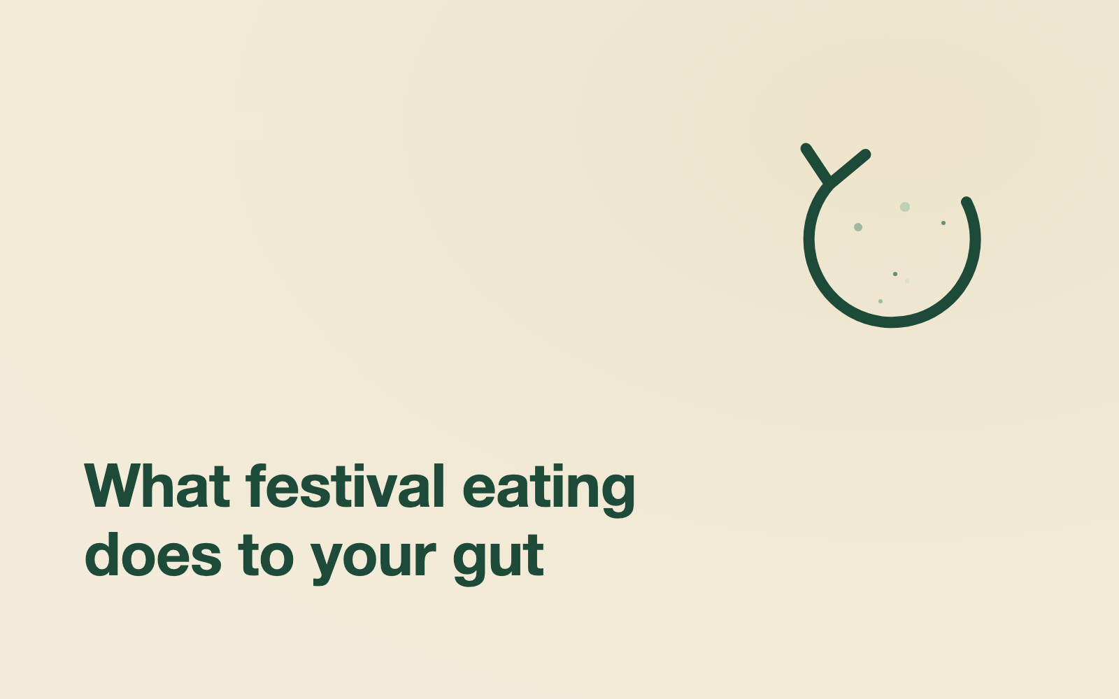 Post-Festival Gut Recovery: A Realistic, Science-Based Reset